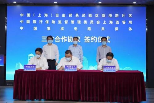 科技保险协同发展，临港打造创新引领新高地