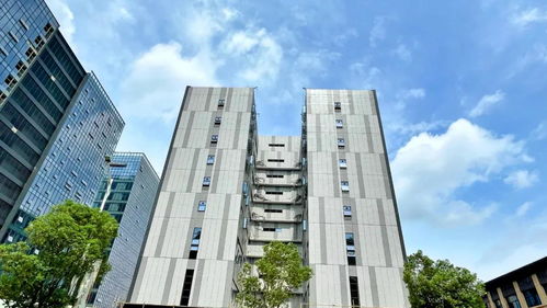 共保科技新里程，力合佛山科技园二期高端产业载体即将启用