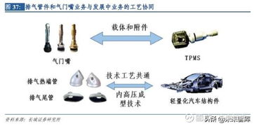 汽车电子专题报告 保隆科技深度解析与共保科技趋势展望